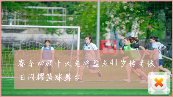赛季回顾十大老将盘点41岁传奇依旧闪耀篮球舞台